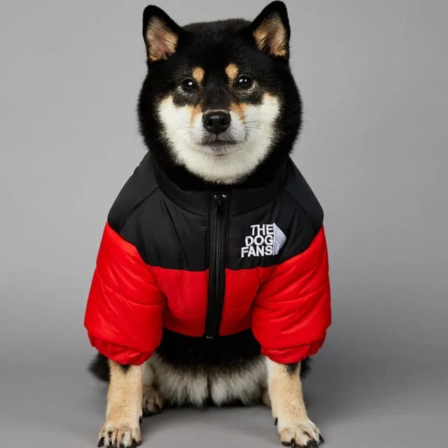 Schöne The Dog Face Winterjacke